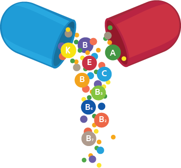 Supplement